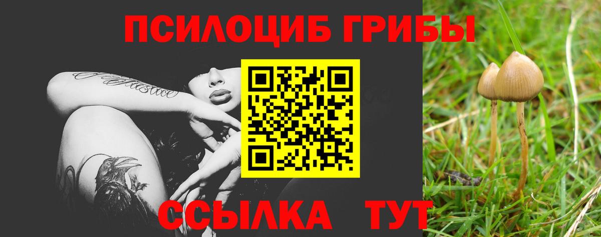 Курчатов  Галлюциногенные грибы Magic Shrooms  Вход с VPN  Псилоцибиновые грибы мухоморы 